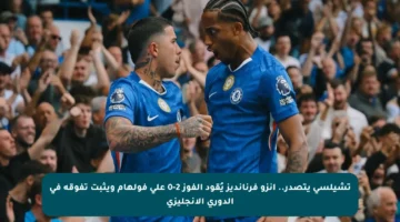 تشيلسي يتصدر.. إنزو فرنانديز يُقود الفوز 2-0 على فولهام ويثبت تفوقه في الدوري الإنجليزي
